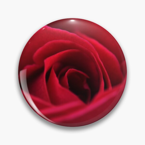 Item preview, Romantic, single red rose. Close up. designed and sold by JellyBeenzz.