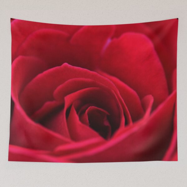 Item preview, Romantic, single red rose. Close up. designed and sold by JellyBeenzz.