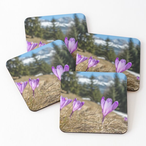 Item preview, spring crocuses on mountain pasture, Carpathians, Romania designed and sold by Olimpia Negura.
