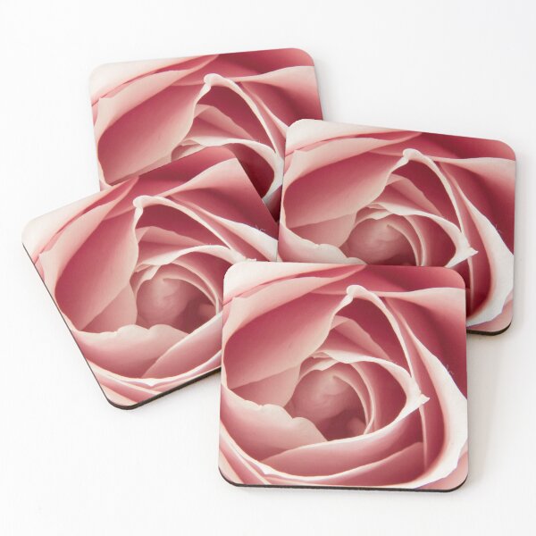 Item preview, Perfect pastel, pale pink rose. Single flower. Close up. designed and sold by JellyBeenzz.