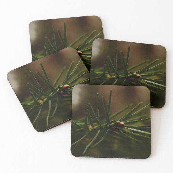 Item preview, spruce branch in the forest designed and sold by ToniStauche.