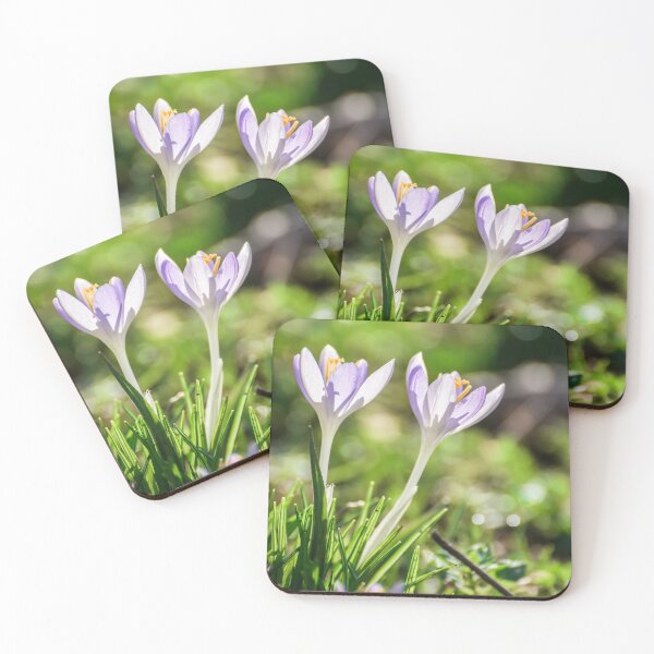 Item preview, Spring crocuses on mountain pasture, Carpathians, Romania designed and sold by Olimpia Negura.
