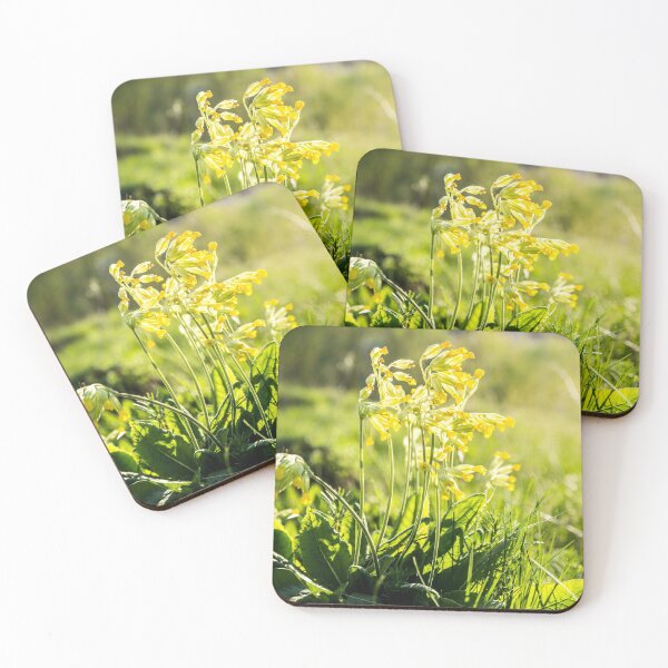 Item preview, Spring wild flowers - Primula veris (cowslip, common cowslip, cowslip primrose) designed and sold by Olimpia Negura.