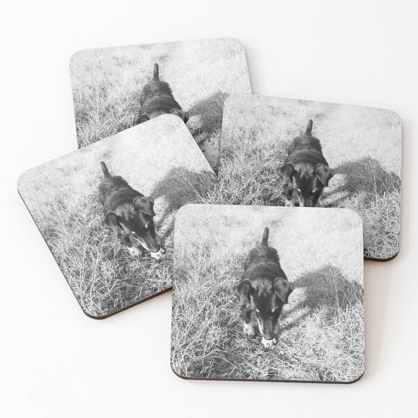 Item preview, Hunt terrier looking for something designed and sold by helenkaiy.