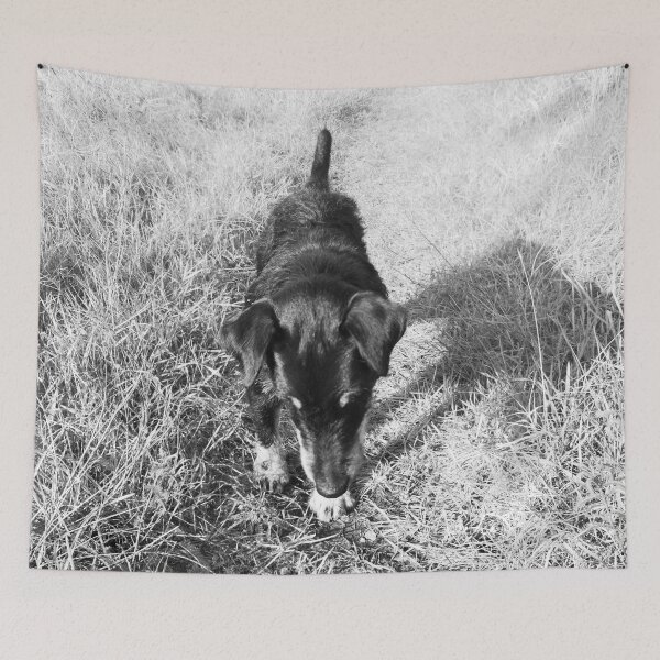 Item preview, Hunt terrier looking for something designed and sold by helenkaiy.