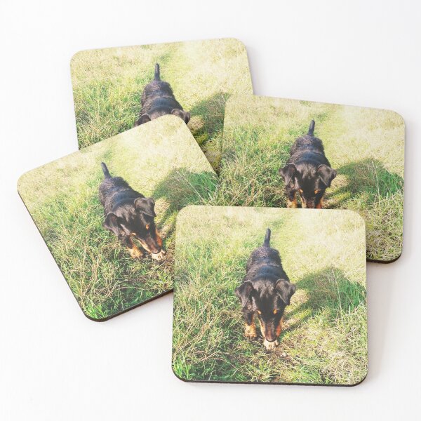 Item preview, Hunt terrier looking for something designed and sold by helenkaiy.