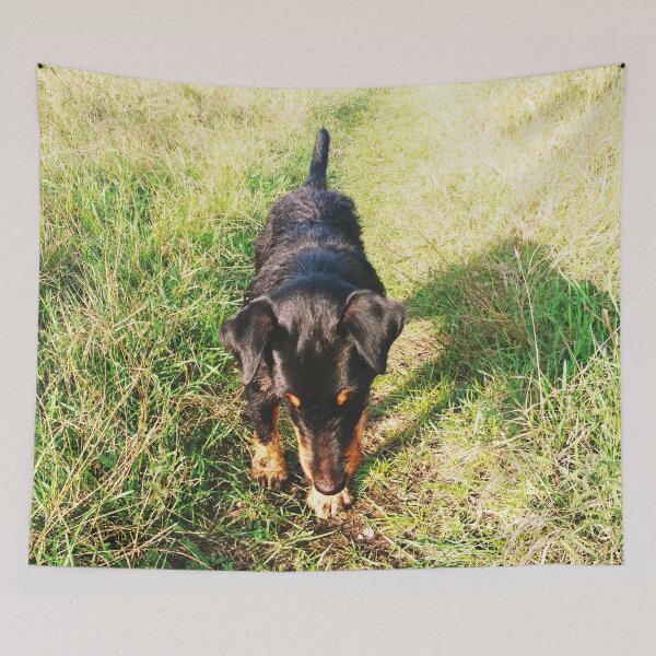 Item preview, Hunt terrier looking for something designed and sold by helenkaiy.