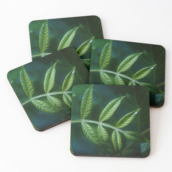 Item preview, A Line of Leaves designed and sold by billduncan.