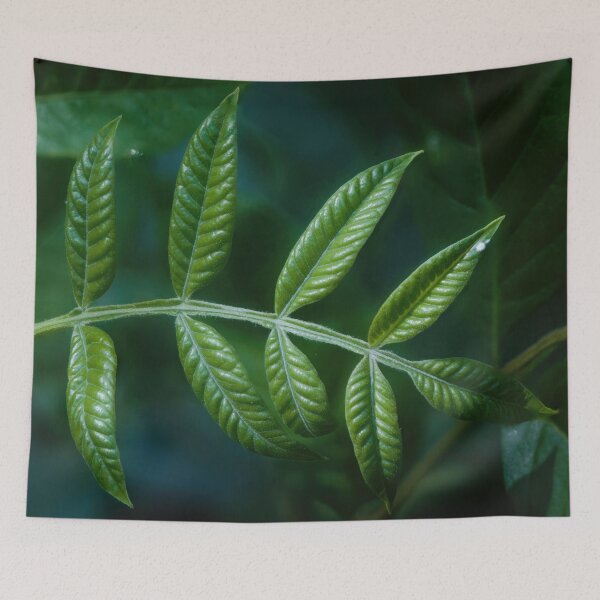Item preview, A Line of Leaves designed and sold by billduncan.