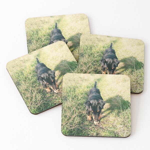 Item preview, Hunt terrier looking for something designed and sold by helenkaiy.
