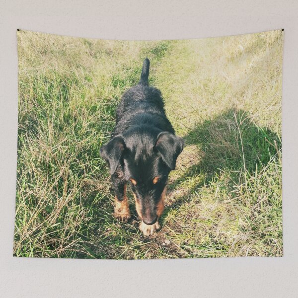 Item preview, Hunt terrier looking for something designed and sold by helenkaiy.