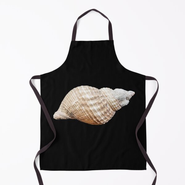 Item preview, Beige Seashell isolated on black background designed and sold by Grégory DUBUS.