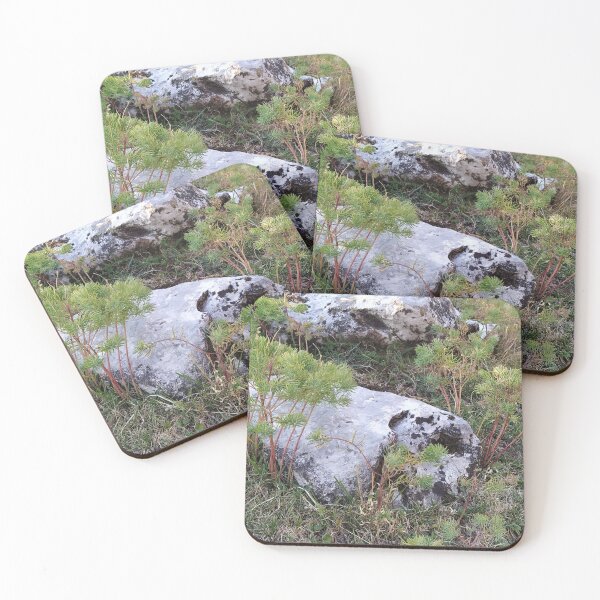 Item preview, A detail in the montains designed and sold by KNBS.