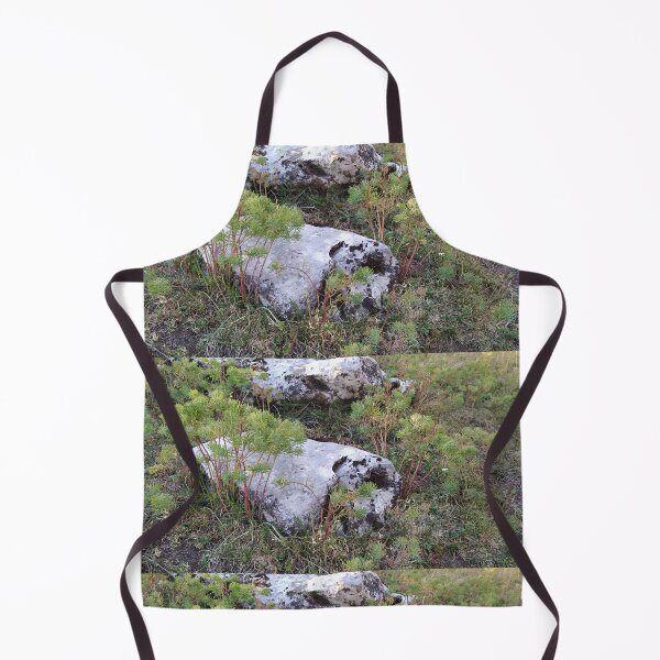 Item preview, A detail in the montains designed and sold by KNBS.