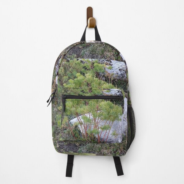 Item preview, A detail in the montains designed and sold by KNBS.