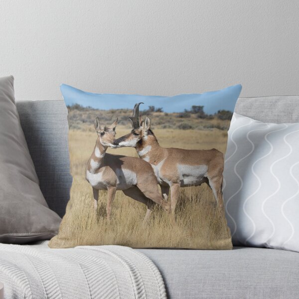 Aperçu de l'œuvre Romance de Pronghorn créée et vendue par NorthernDesert.