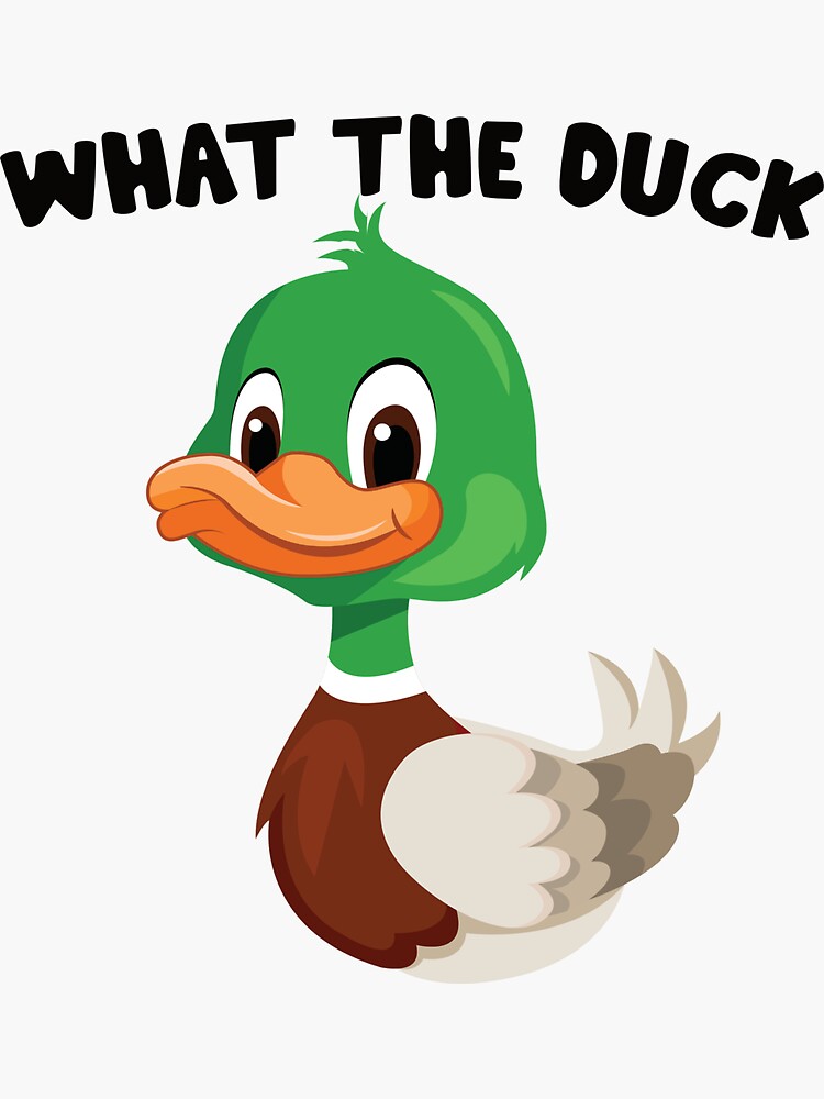 What The Duck Cute Duck Sticker Sticker For Sale By Noahs Shop Redbubble 