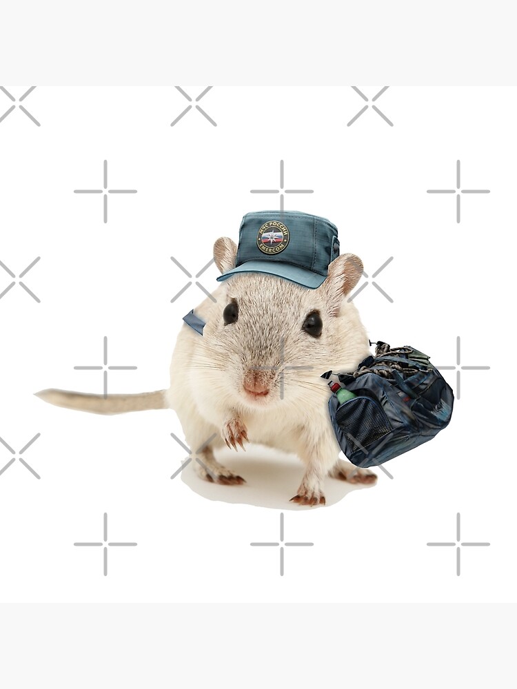 "Escape From Tarkov Duffel Bag Tarkov Rat Attack" Art Print for Sale by QuadDamage Redbubble