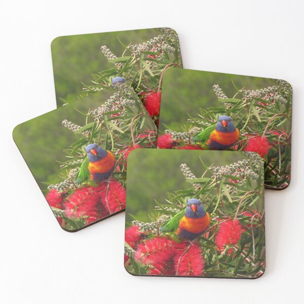 Item preview, Noisey but nice designed and sold by outbackjack.