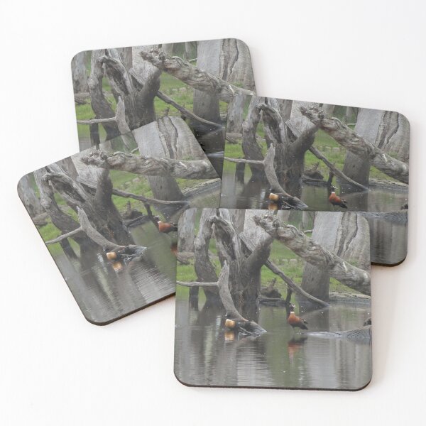 Item preview, Duck lagoon is full of life designed and sold by outbackjack.
