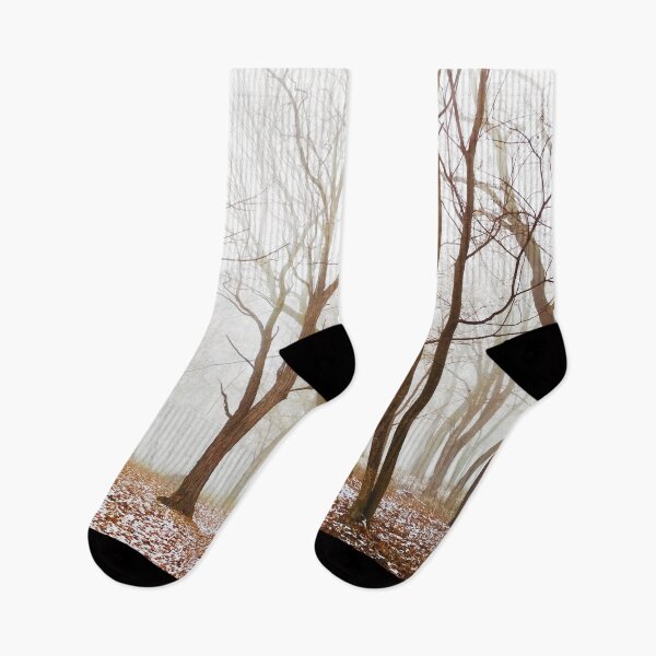 Item preview, First snow in a magic foggy forest, natural background  designed and sold by helenkaiy.