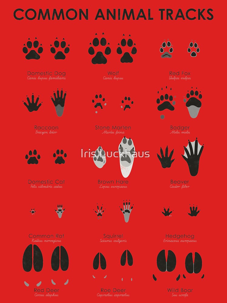 Common Animal Tracks Identification ID Chart | Kids T-Shirt