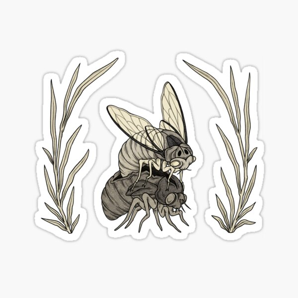 Item preview, Rebirth of a cicada designed and sold by Veymoth.