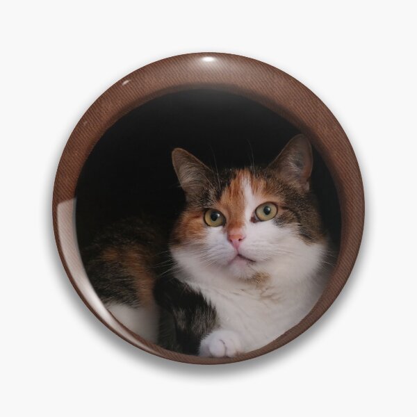 Item preview, Cat inside designed and sold by LuciaS.