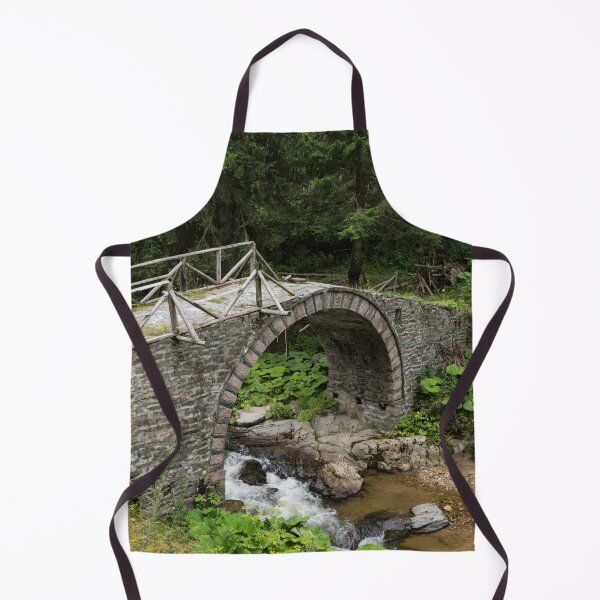Item preview, Deteriorating Slowly - The Elegant Arch of an Ancient Stone Bridge designed and sold by Georgia Mizuleva.
