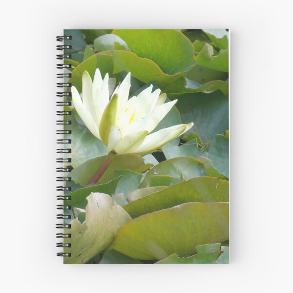 Item preview, Macro of a Water Lily  designed and sold by Naomi80.