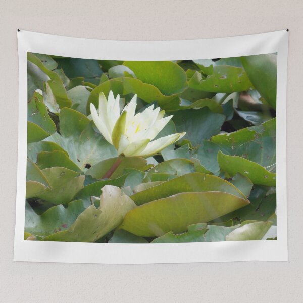 Item preview, Macro of a Water Lily  designed and sold by Naomi80.