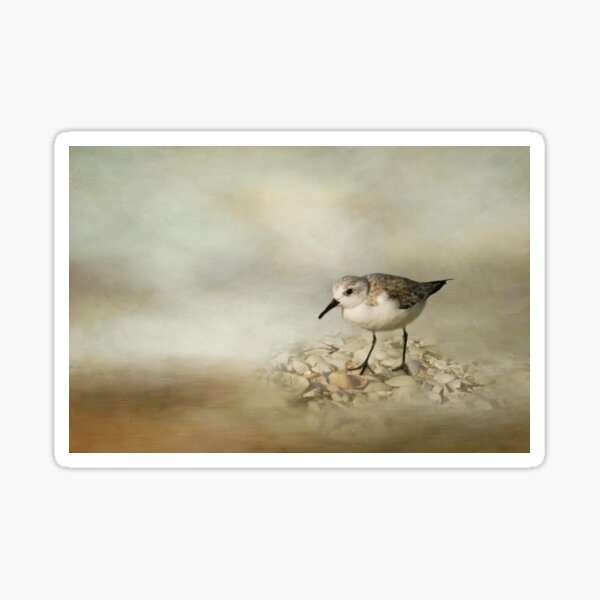 Sanderling Sticker