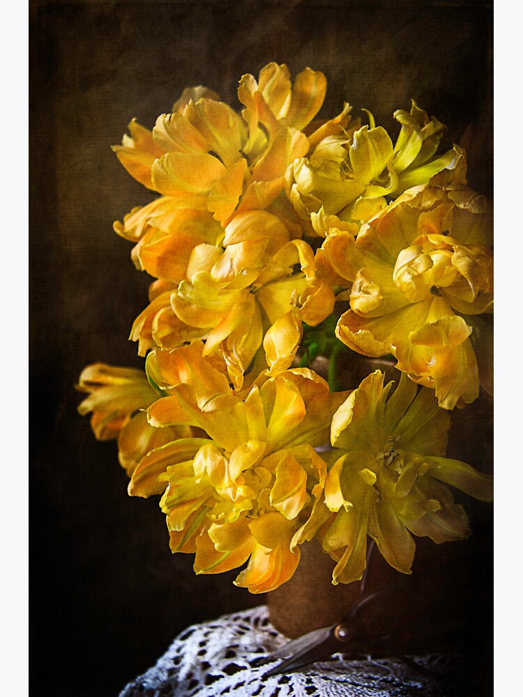 Blooming Tulips by CindiR60