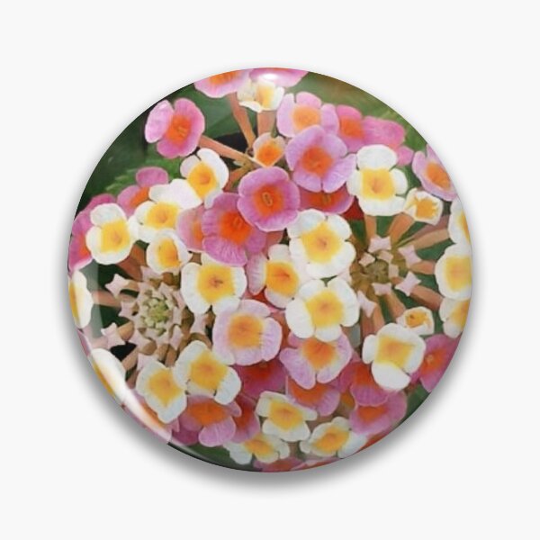 Artikelvorschau, Lantana Camara Blumen entworfen und verkauft von kimcrunner.