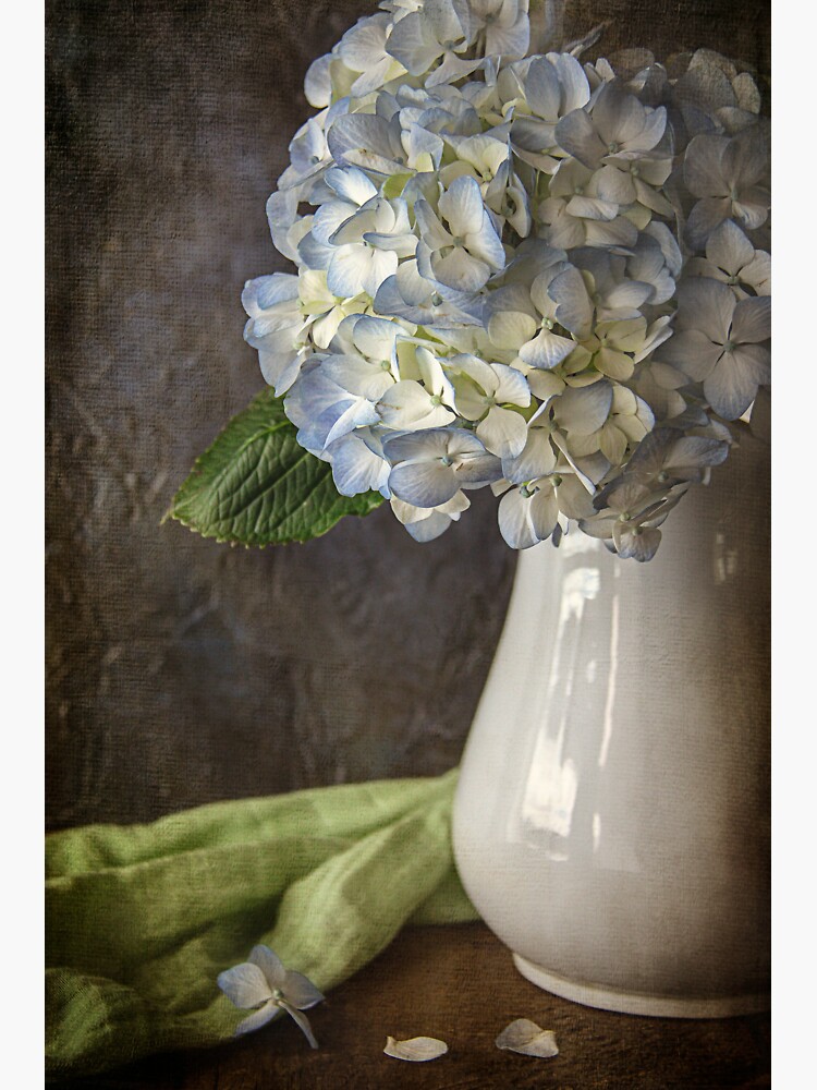 Blue Hydrangea by CindiR60