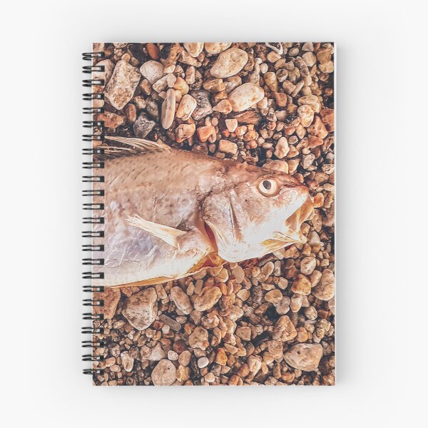 Item preview, Dead Fish Over Rocky Ground Photo designed and sold by DFLC Prints.