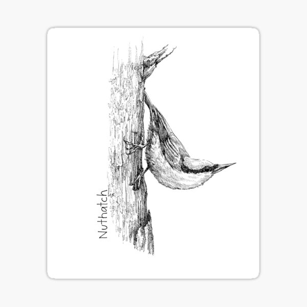 Item preview, Nuthatch Ink designed and sold by jrgunillustre.