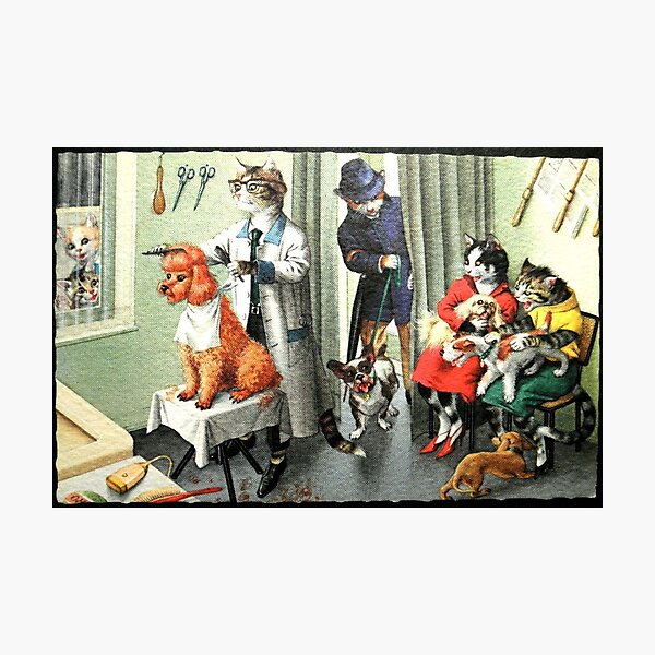 Item preview, Vintage dog cute photo Dachshund Dogs retro pet barber poodle cats designed and sold by Coolstuff4you71.