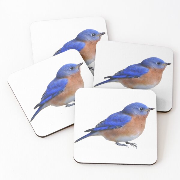 Item preview, Eastern Bluebird  designed and sold by Bonnie T.  Barry.