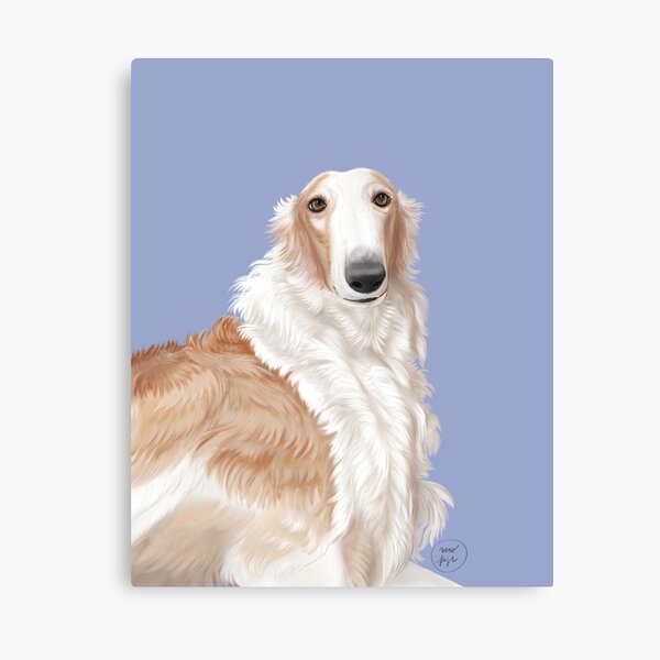 Borzoi portrait Canvas Print