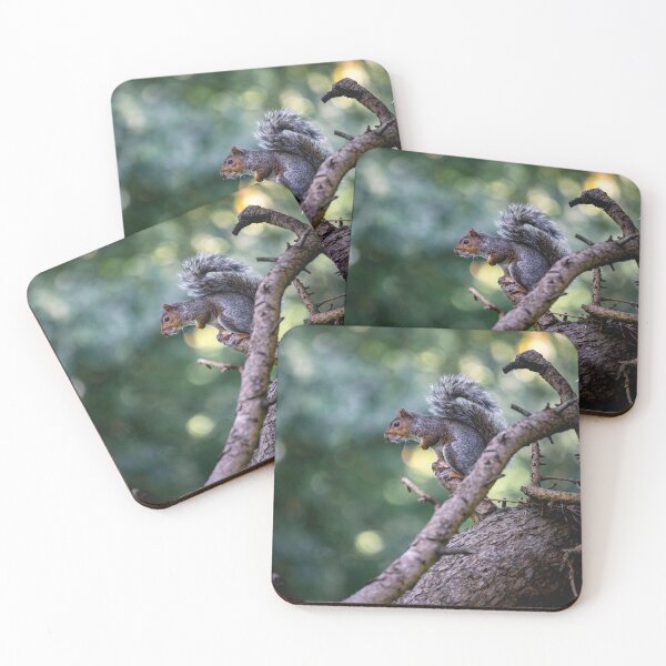 Item preview, Squirrel Poser designed and sold by Jay Mayne.