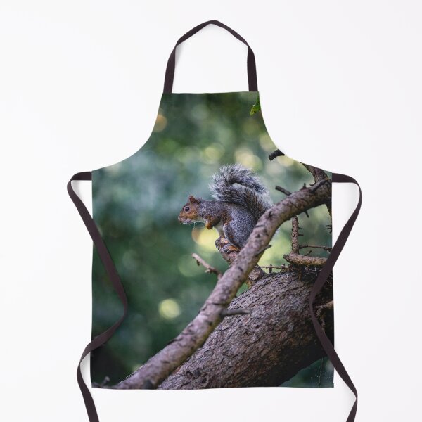 Item preview, Squirrel Poser designed and sold by Jay Mayne.