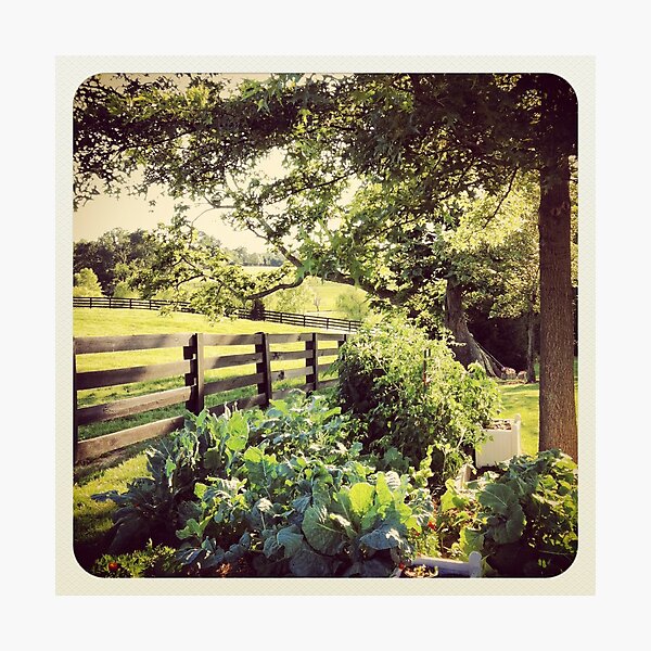 Item preview, Garden designed and sold by YellowBarn.