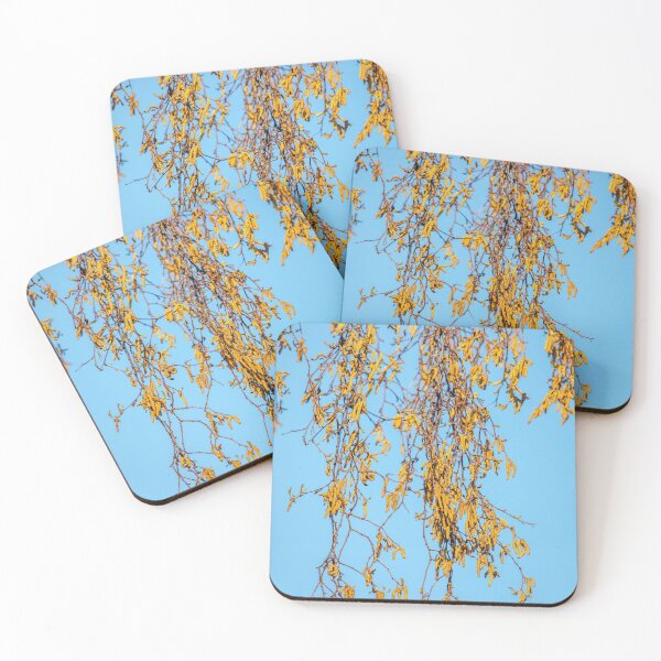 Item preview, Silver birch designed and sold by AWLPIX.