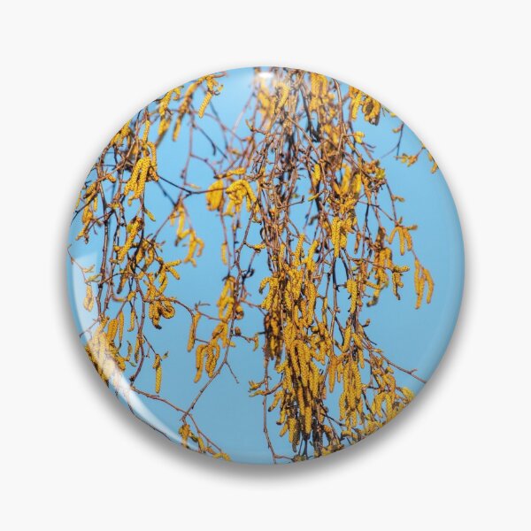 Item preview, Silver birch designed and sold by AWLPIX.