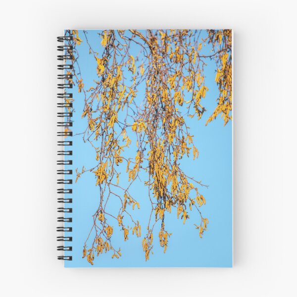 Item preview, Silver birch designed and sold by AWLPIX.