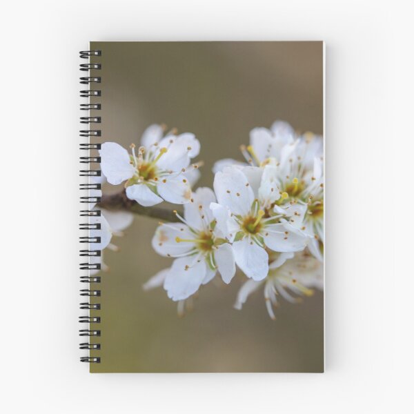Item preview, Hawthorn blossom designed and sold by AWLPIX.