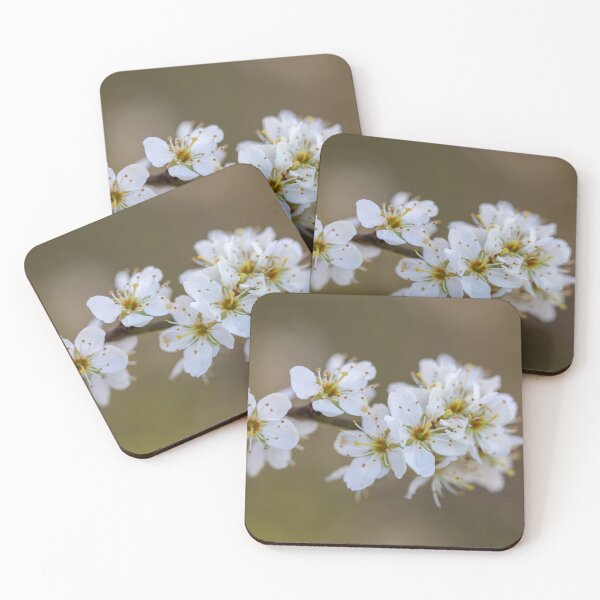 Item preview, Hawthorn blossom designed and sold by AWLPIX.