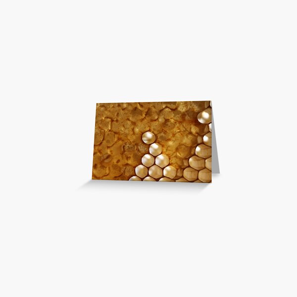 honey or not honey? Greeting Card