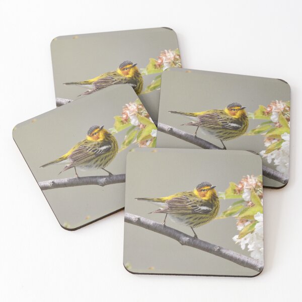 Item preview, Cape May Warbler on Cherry Blossoms  designed and sold by PixlPixi.